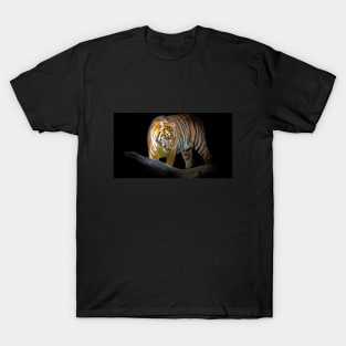 Tiger Animal Feline Wild Life Jungle Nature Freedom Travel Africa Digital Painting T-Shirt